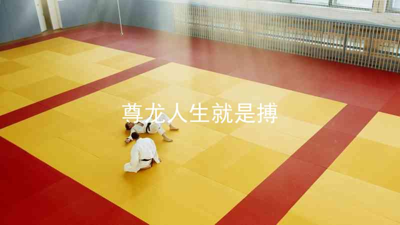 尊龙人生就是搏