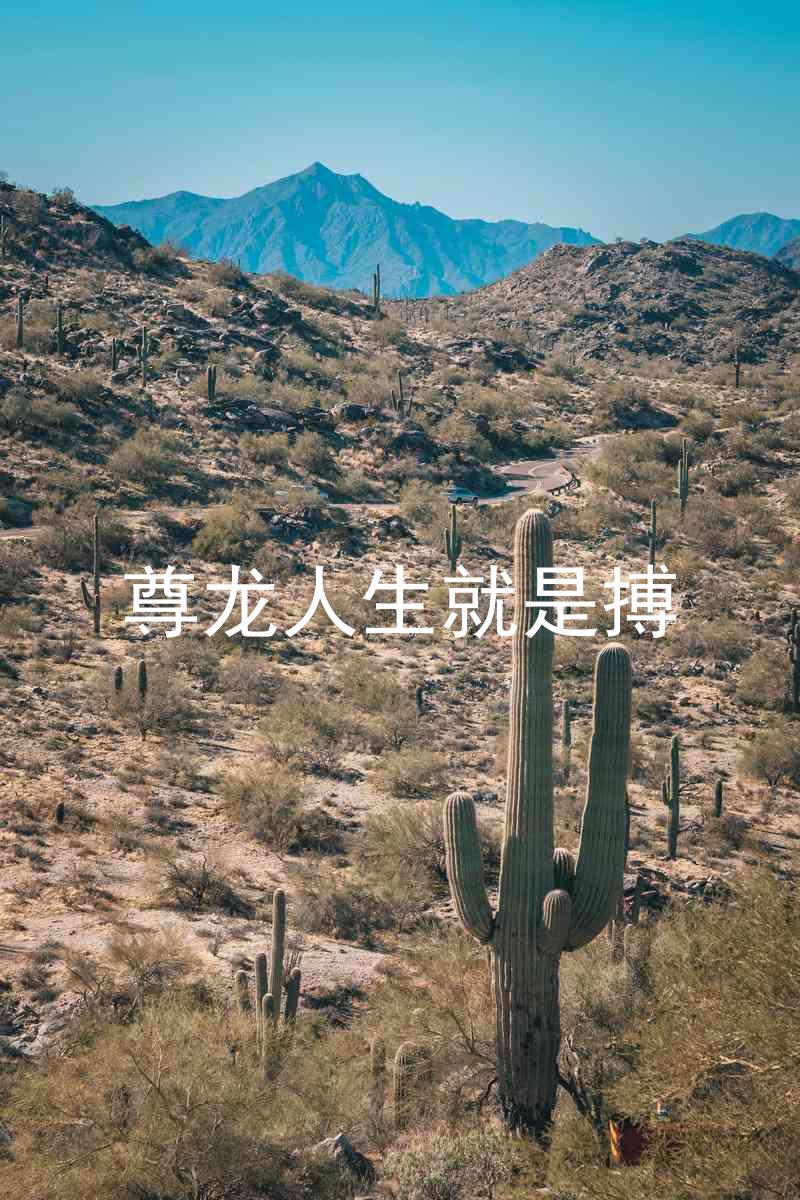 尊龙人生就是搏