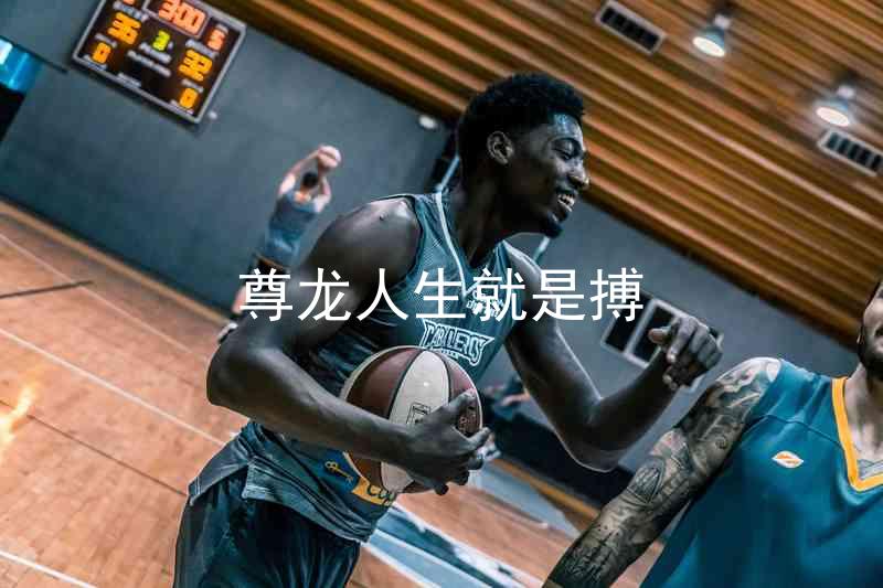 尊龙人生就是搏