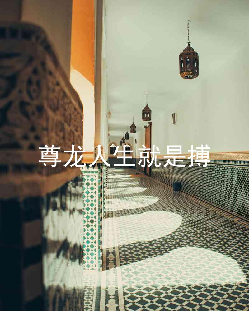 尊龙人生就是搏